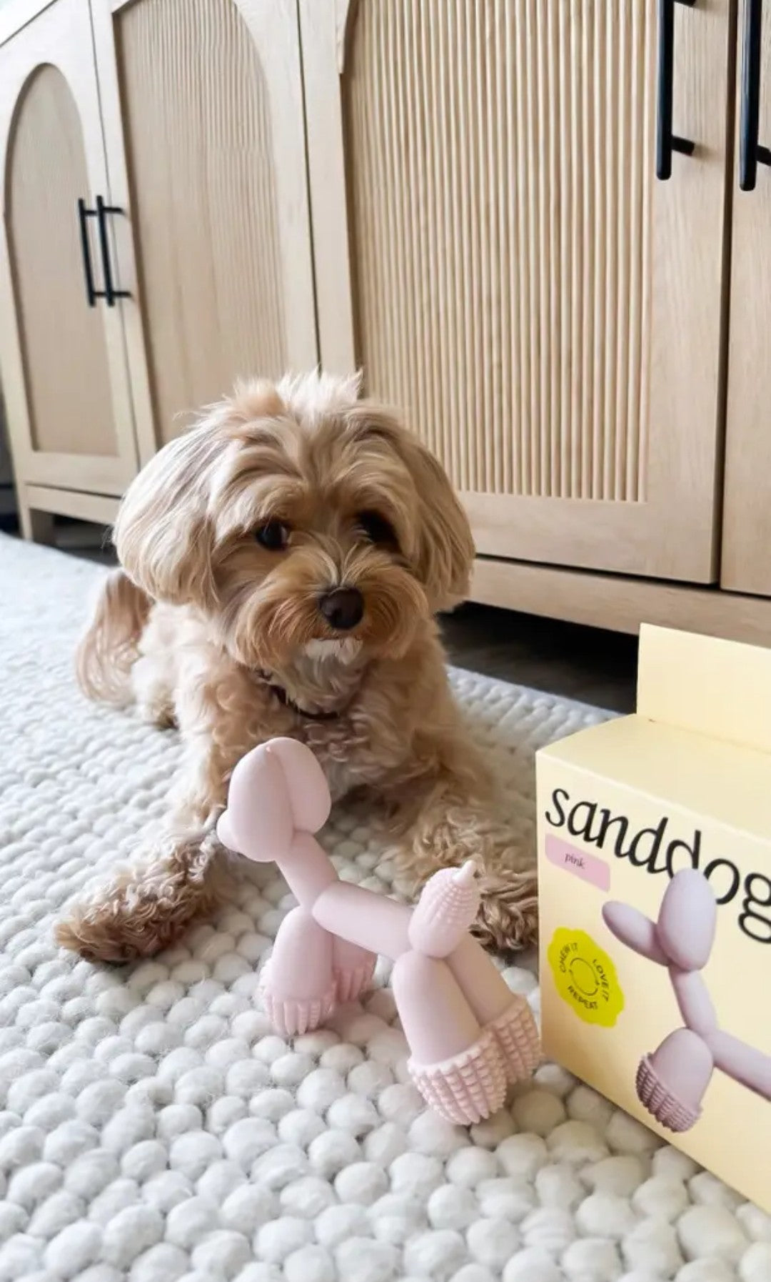 Art Balloon Dog Toy - Pink