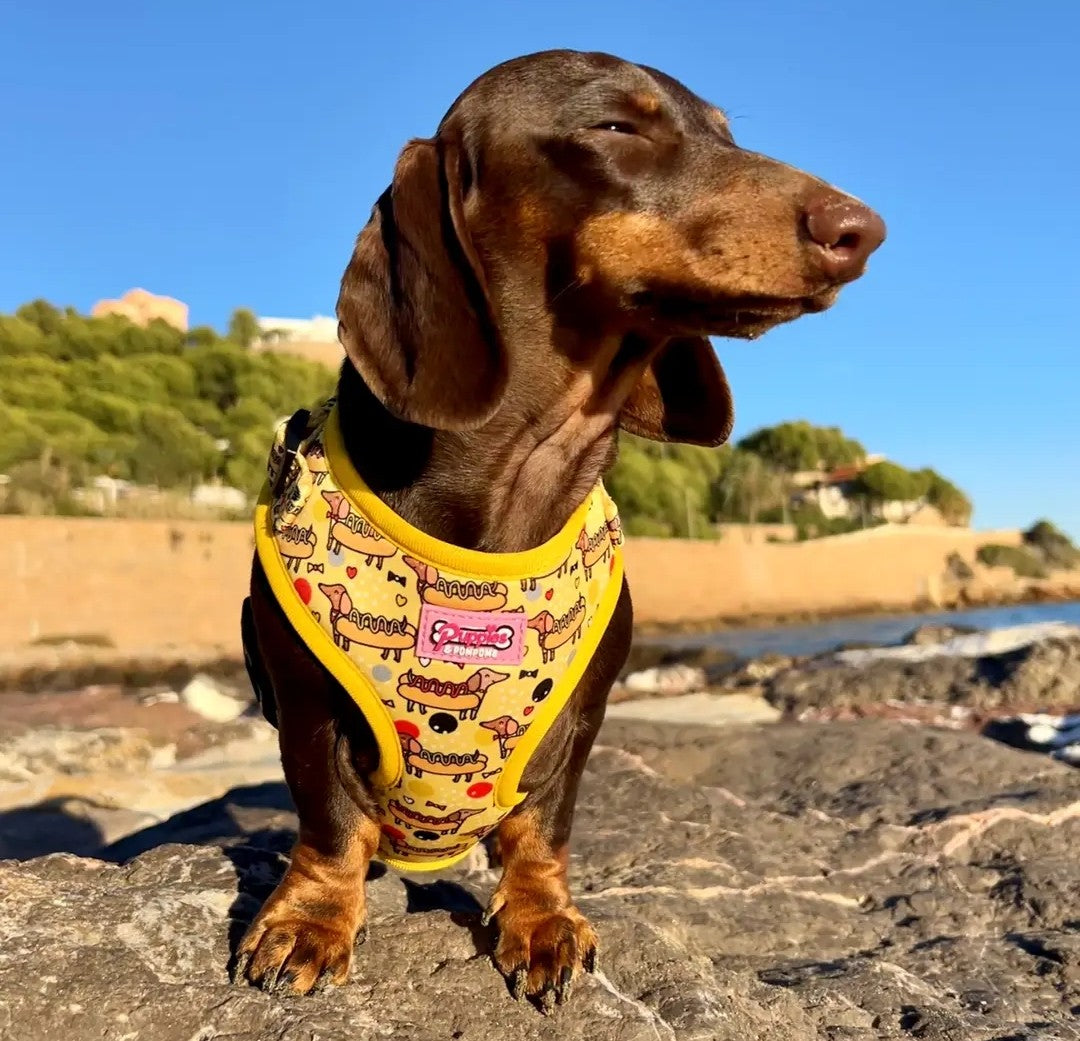 Hot Dog Harness 🌭